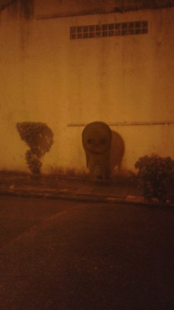 Criatura estranha encontrada nas ruas do Rio de Janeiro.